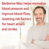 Berberine Can Bring Blood Pressure To Normal and Support Heart Health