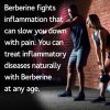 Berberine Fights Inflammation Naturally
