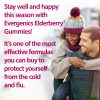 Elderberry Gummies Descriptive Image