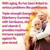Elderberry Gummies Descriptive Image - Elderberry May Protect Against Pneumonia