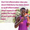 Elderberry Gummies Descriptive Image - Elderberry Offers Anti-Inflammatory Benefits